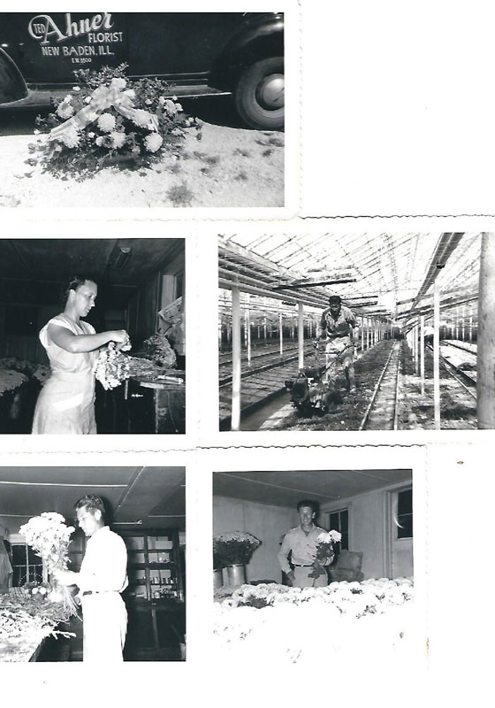ahner-greenhouse-history-image