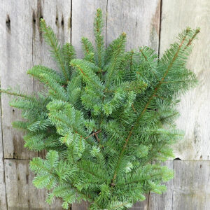 christmas-greens-ahner-greenhouse