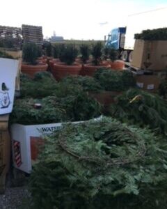 48" Balsam Wreath - Undecorated