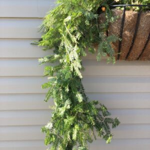 50ft. Mixed Garland