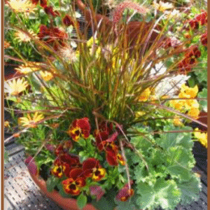 14" Fall Combo Planter